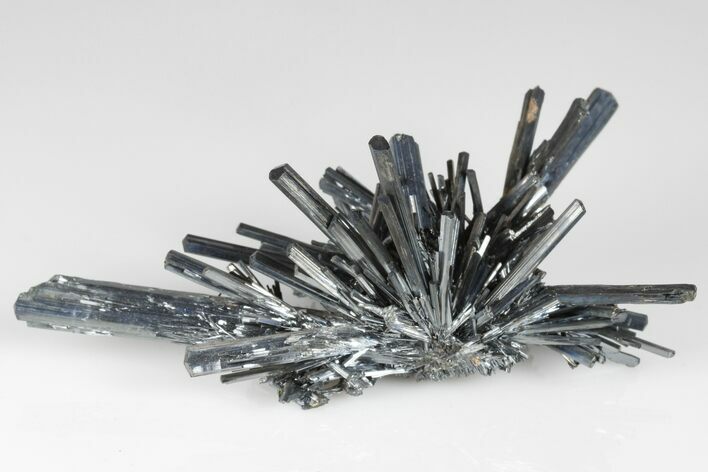 Lustrous, Metallic Stibnite Crystal Spray - China #175894